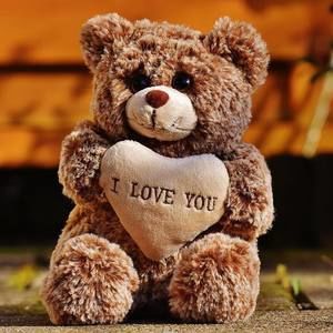 Meet your Posher, Bryan